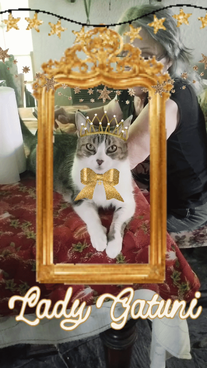 Tuni in a golden frame
